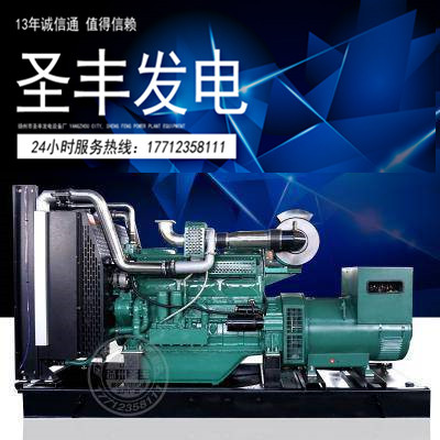 无锡动力250KW柴油发电机组WD129TAD25
