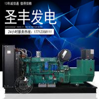 潍柴斯太尔250KW发电机WP12D39...