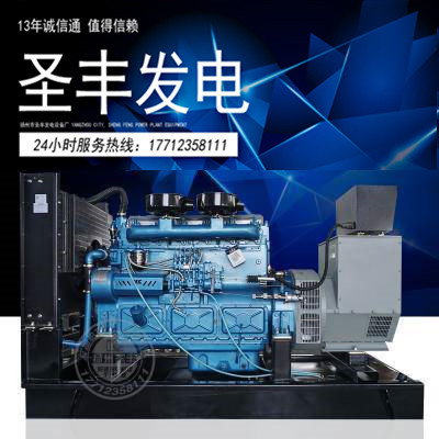 上海东风研究所200KW柴油发电机组SY129TAD23